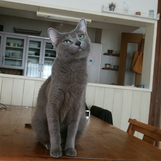 tomo1220さんの実例写真