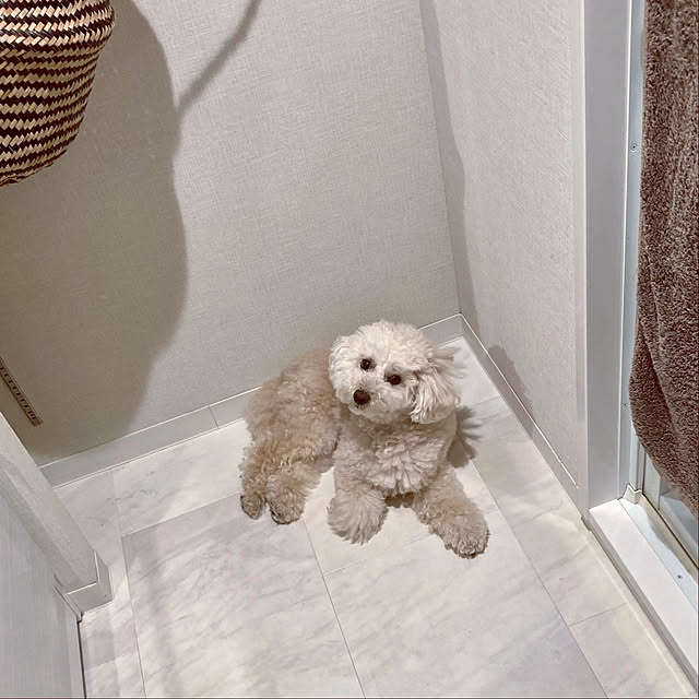 madamkaoriさんの実例写真