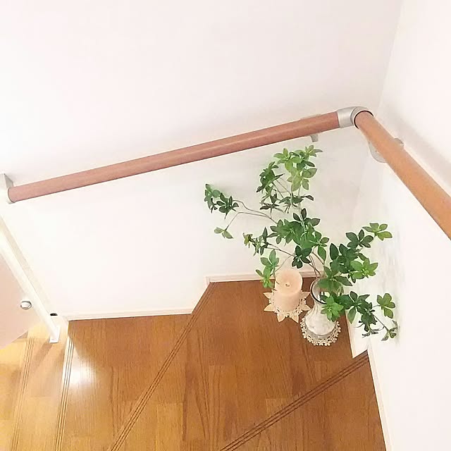 chihiroさんの実例写真