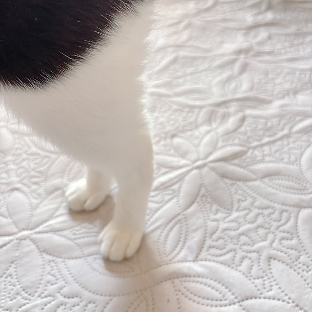 moolさんの部屋