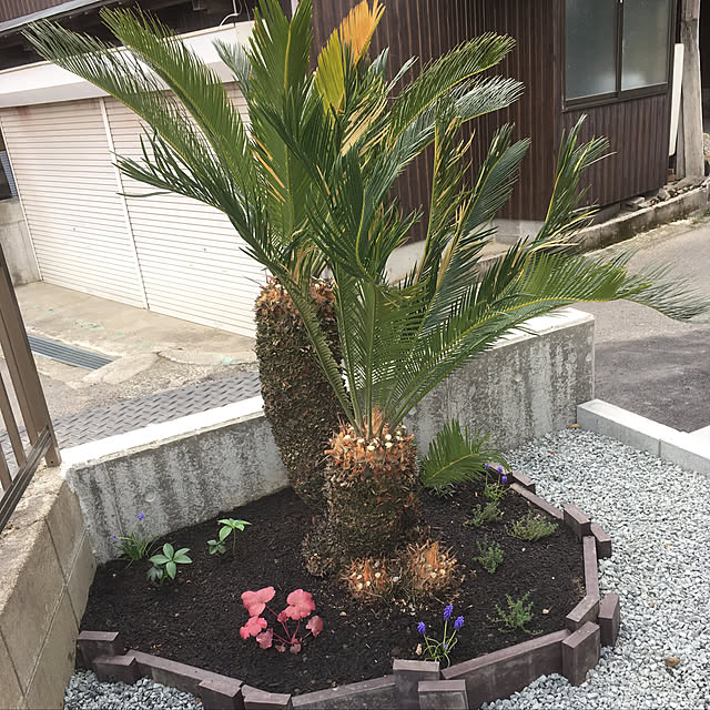 mrkさんの実例写真