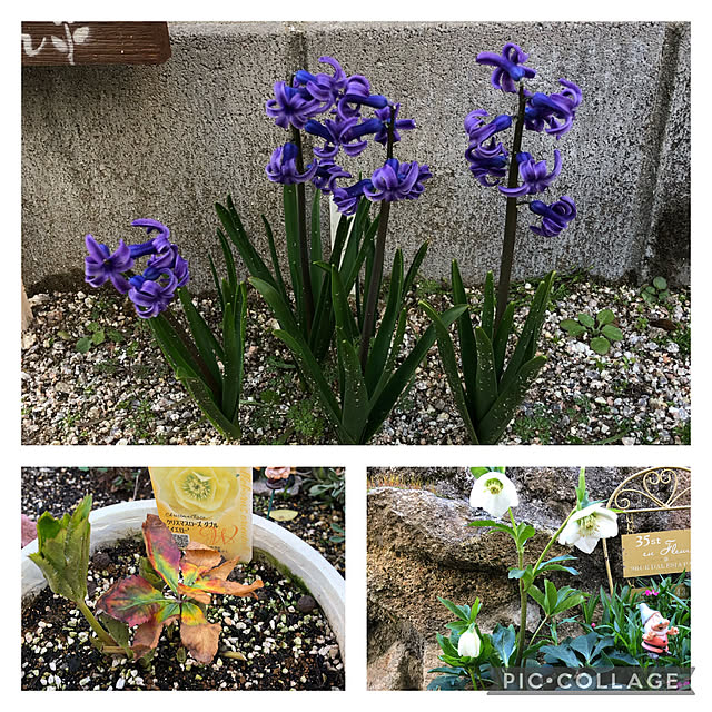 mimi.mocchiさんの実例写真