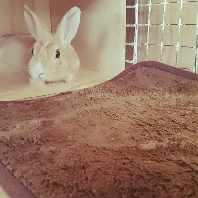 emiさんの実例写真
