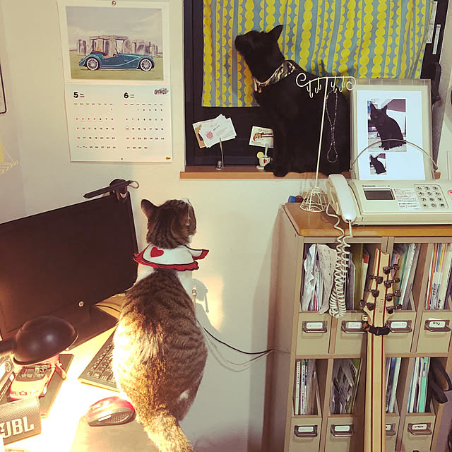 jijiさんの実例写真
