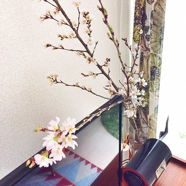 hitomiさんの実例写真