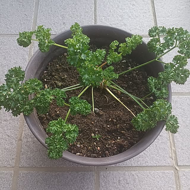 tuushiさんの実例写真