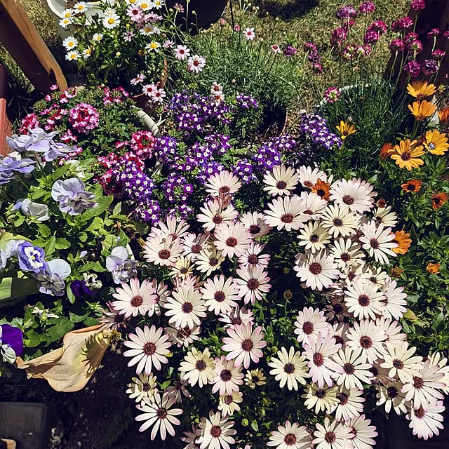 mofukoさんの実例写真