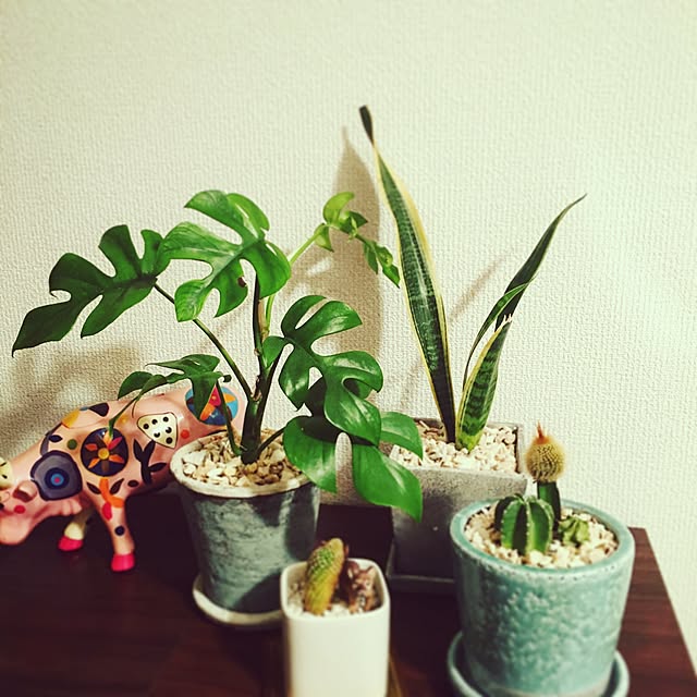 Ayaさんの実例写真