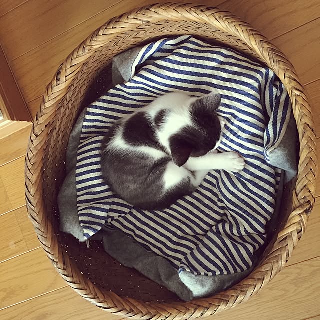 afroさんの実例写真