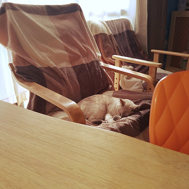 kiyohima229さんの実例写真