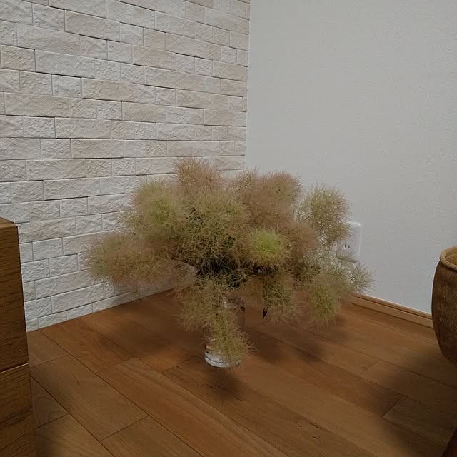 anemone37さんの実例写真