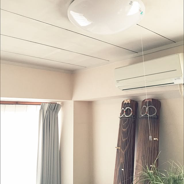 passhonさんの実例写真