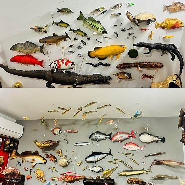 takakuzenさんの実例写真