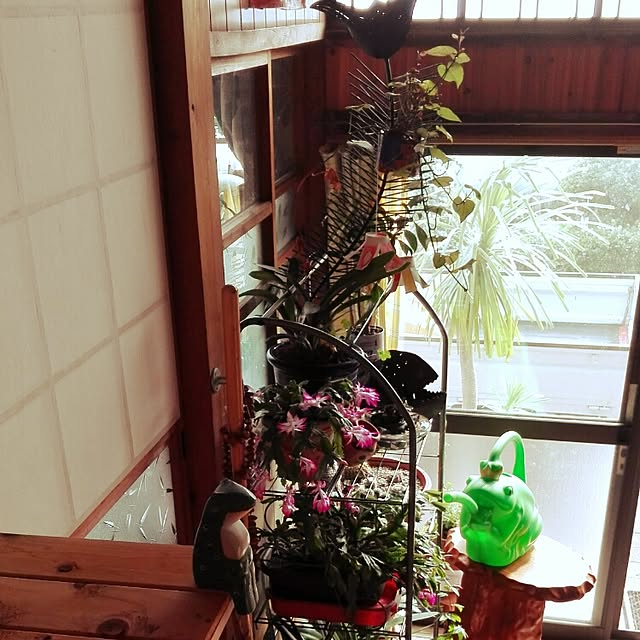 kikuさんの実例写真