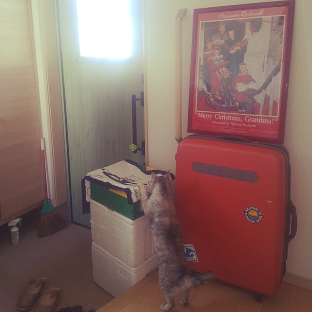 chikoさんの実例写真