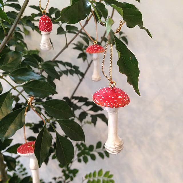 Toadstool-kさんの実例写真