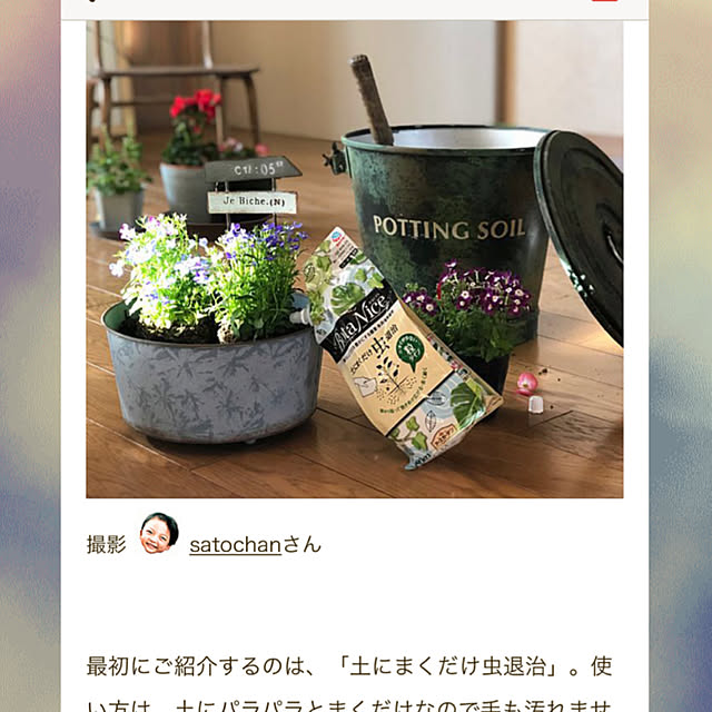 satochanさんの実例写真