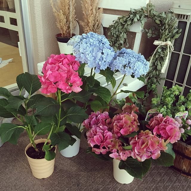 tamu_plusさんの実例写真