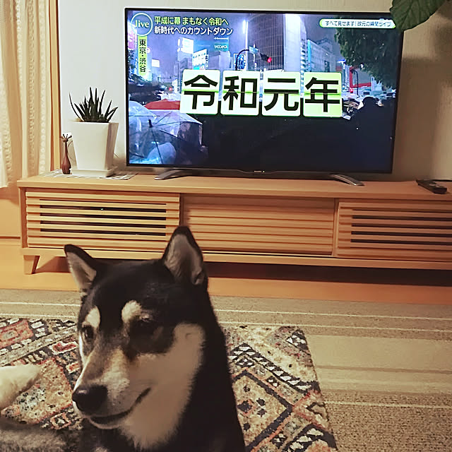 Yuzuさんの実例写真