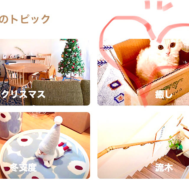 naokoさんの実例写真