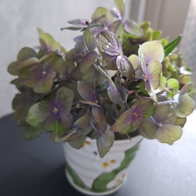 noaさんの部屋