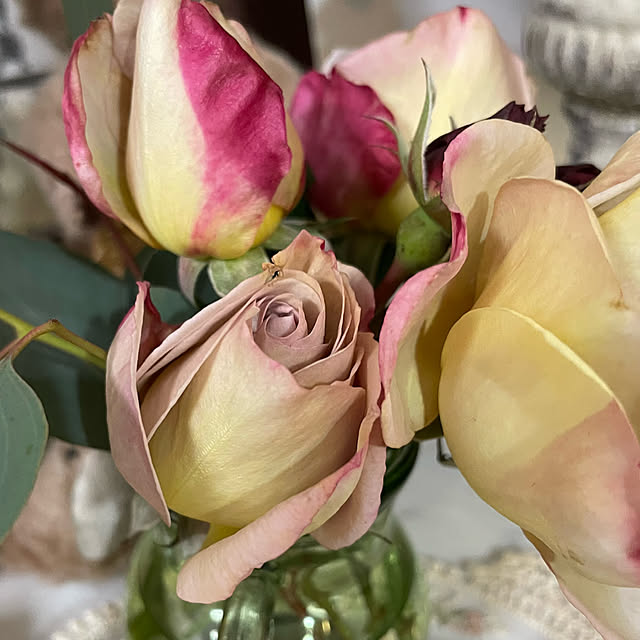 shiropenguinさんの部屋