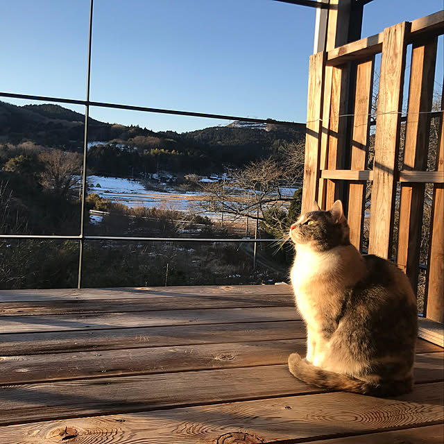 sakurasakuさんの実例写真
