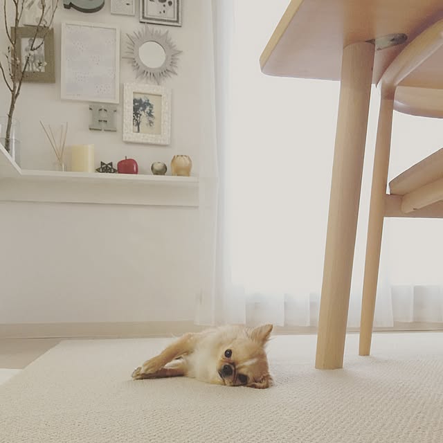 haruhinaさんの実例写真