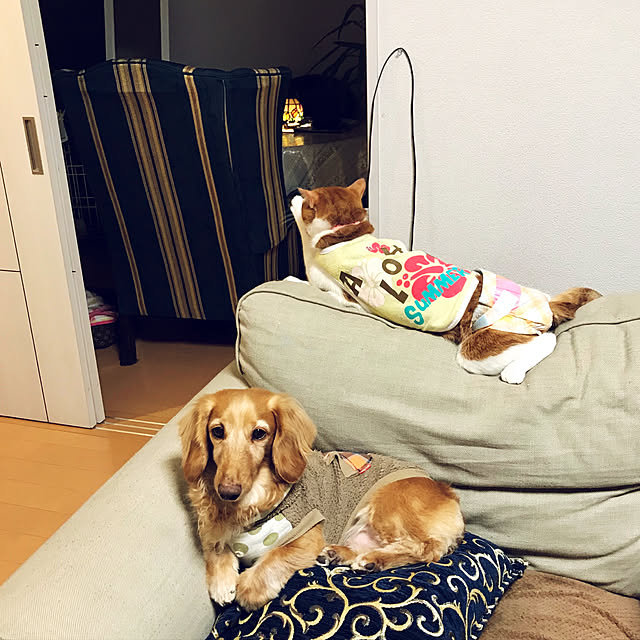 yurincaさんの実例写真