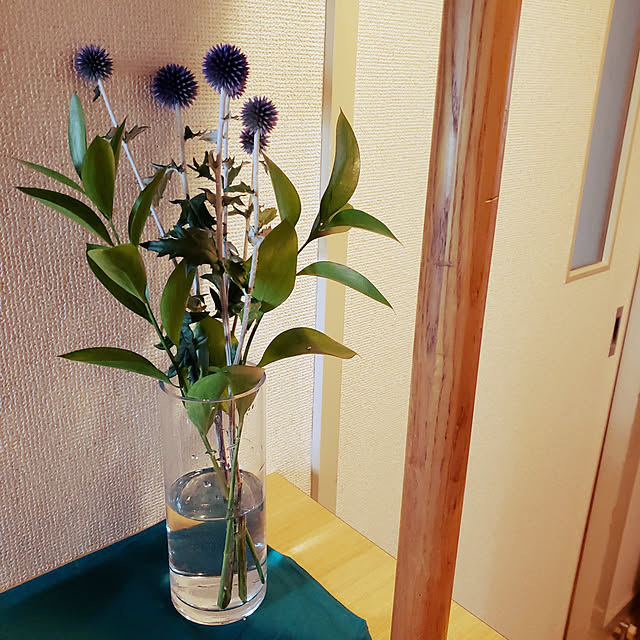 shishishi24koさんの実例写真