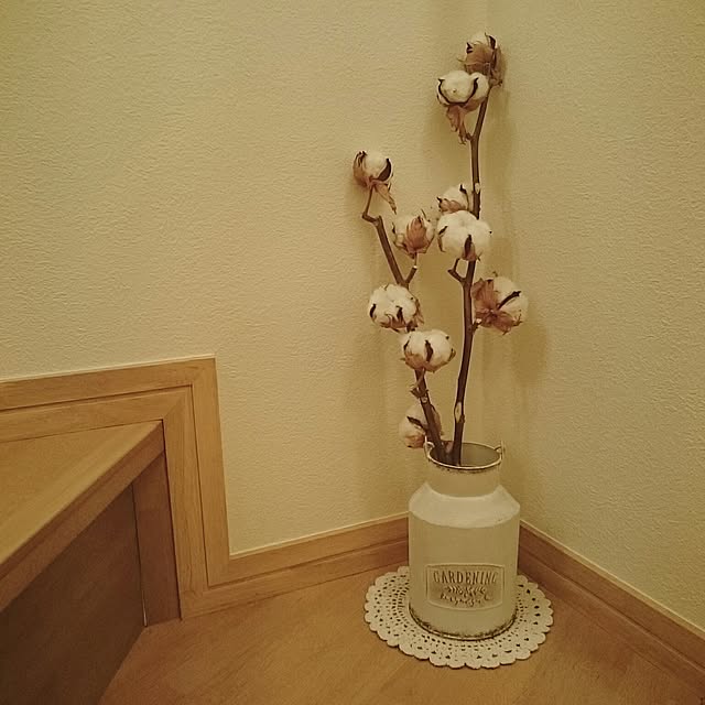 tomomonさんの実例写真