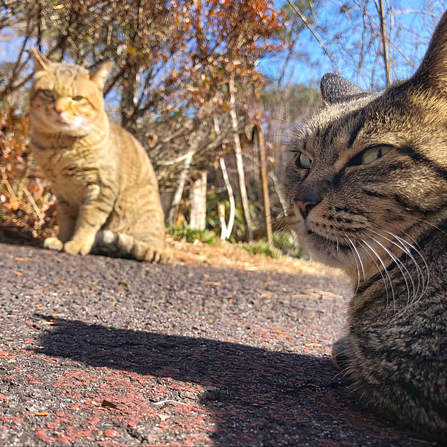 weさんの実例写真