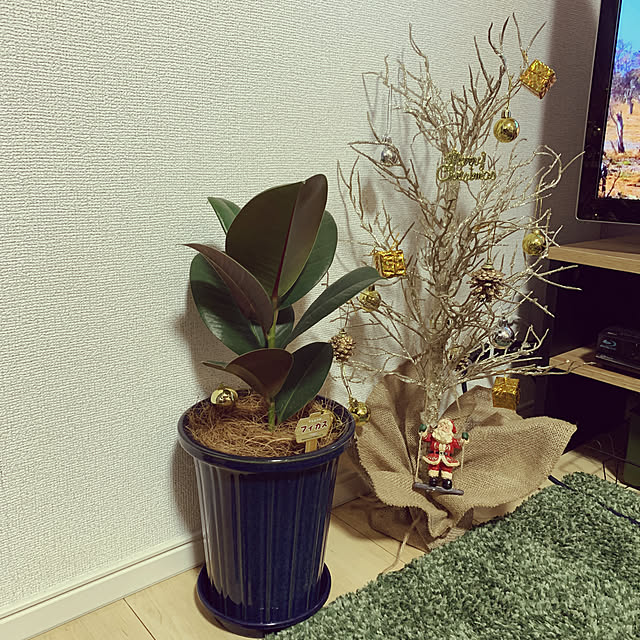 Pomさんの実例写真