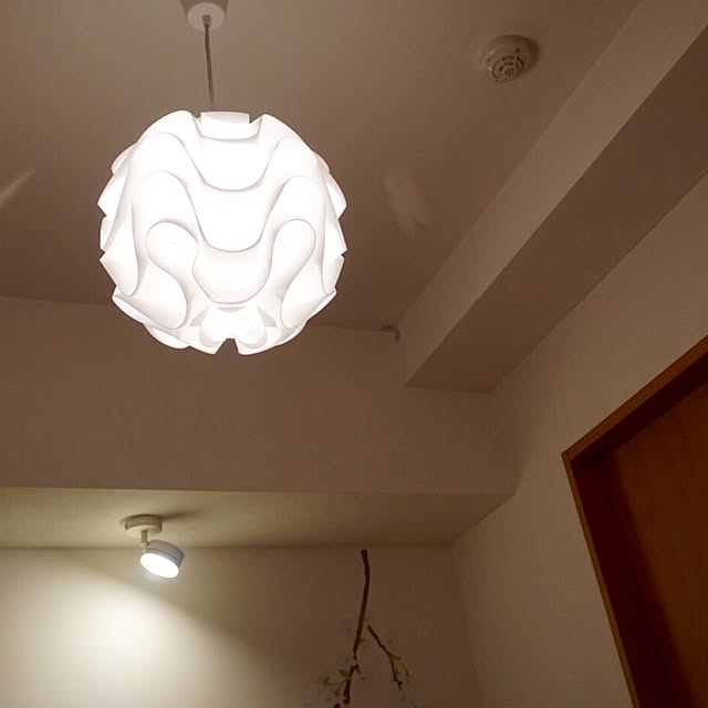 壁/天井/一人暮らし/北欧のインテリア実例 - 2015-02-23 23:09:06