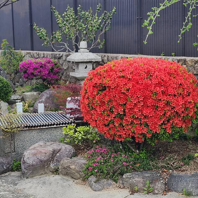 takeyoshiさんの部屋