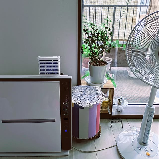 mi-saさんの部屋