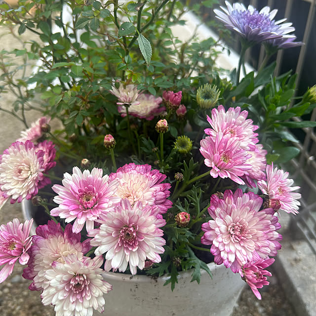 R.5.mamaさんの部屋