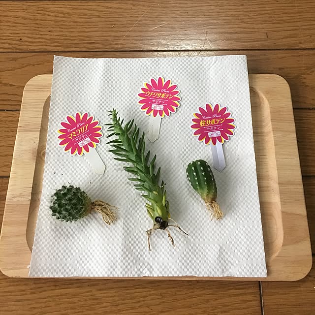 chimiさんの実例写真