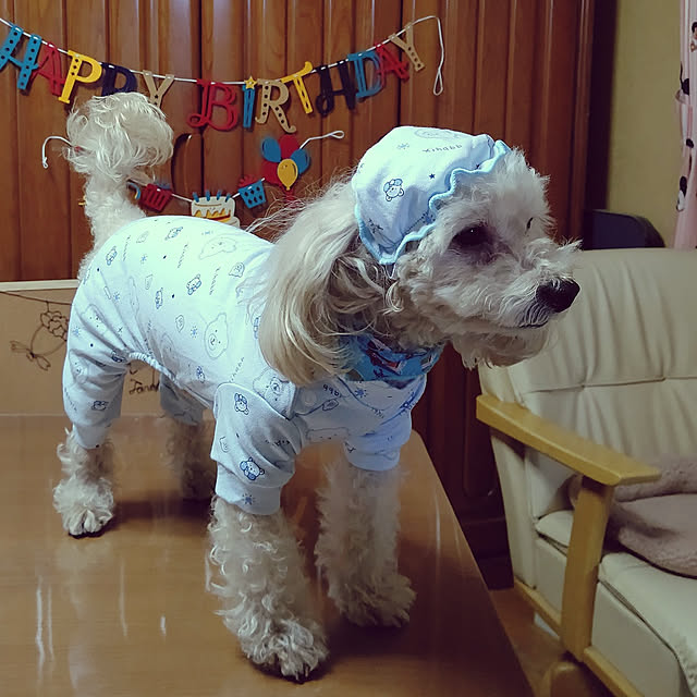 yumirinさんの実例写真