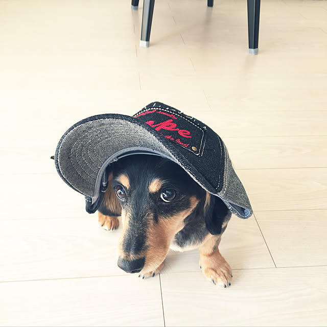 ohanaさんの実例写真