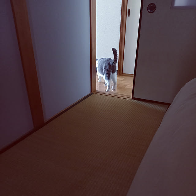 rhuさんの実例写真
