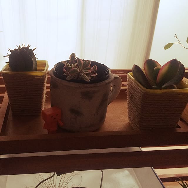 rieさんの実例写真