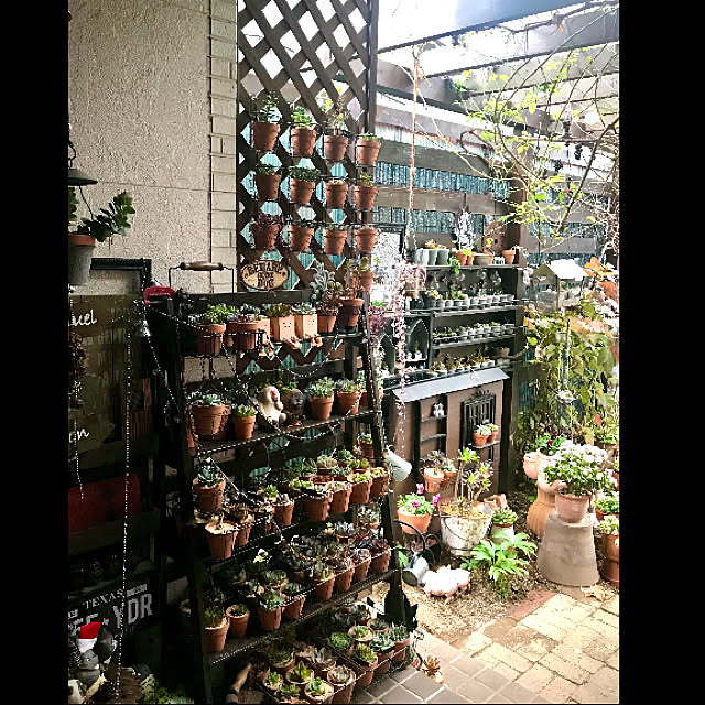 butachanさんの実例写真