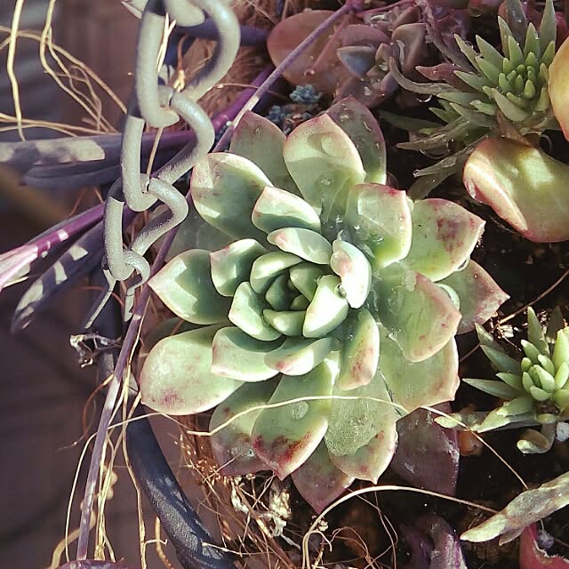 VERANDARJUNさんの実例写真