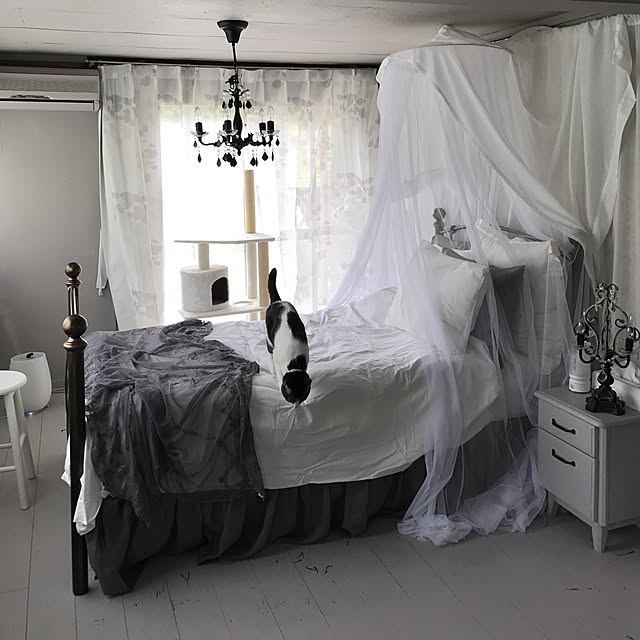 Shihoさんの実例写真