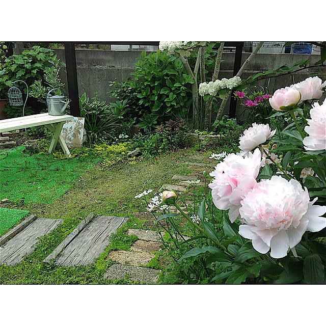 cherryさんの実例写真