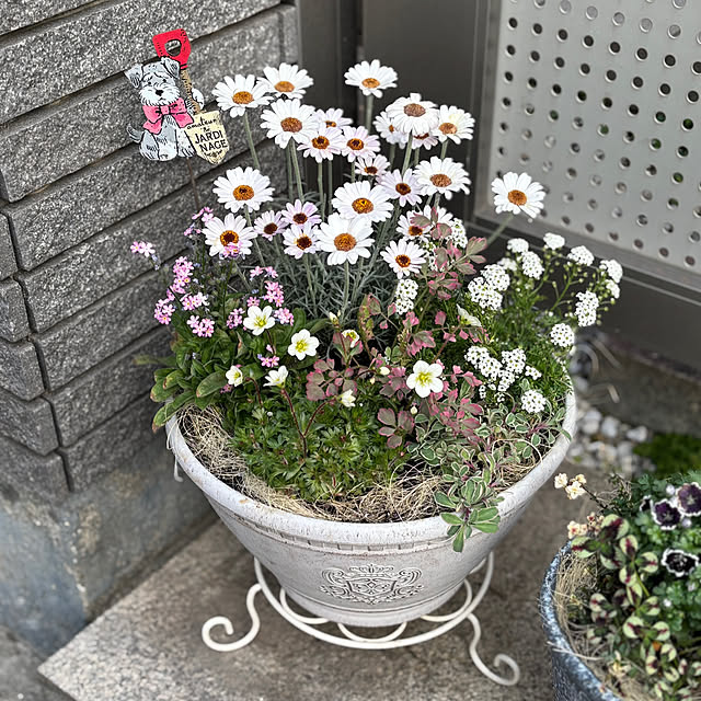 maayaさんの部屋