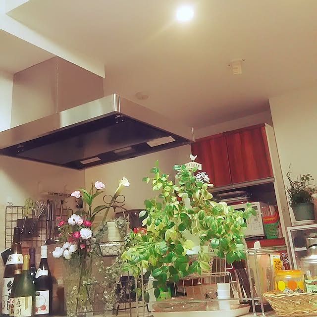 実例写真