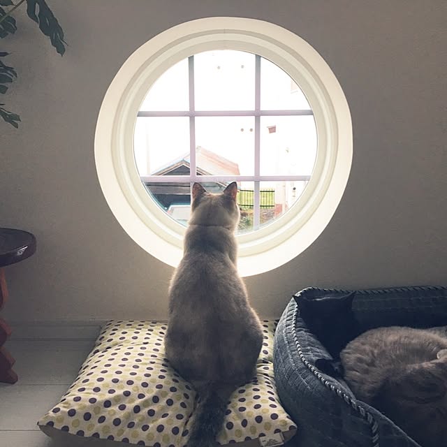 Leoさんの実例写真