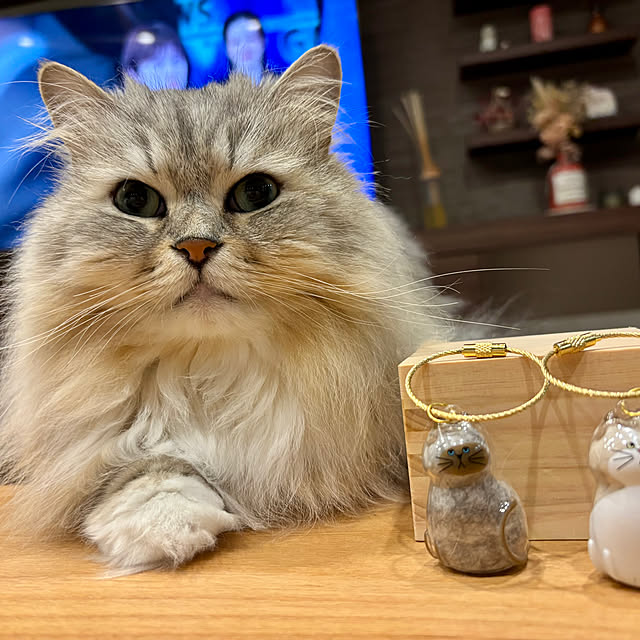 akimamさんの部屋